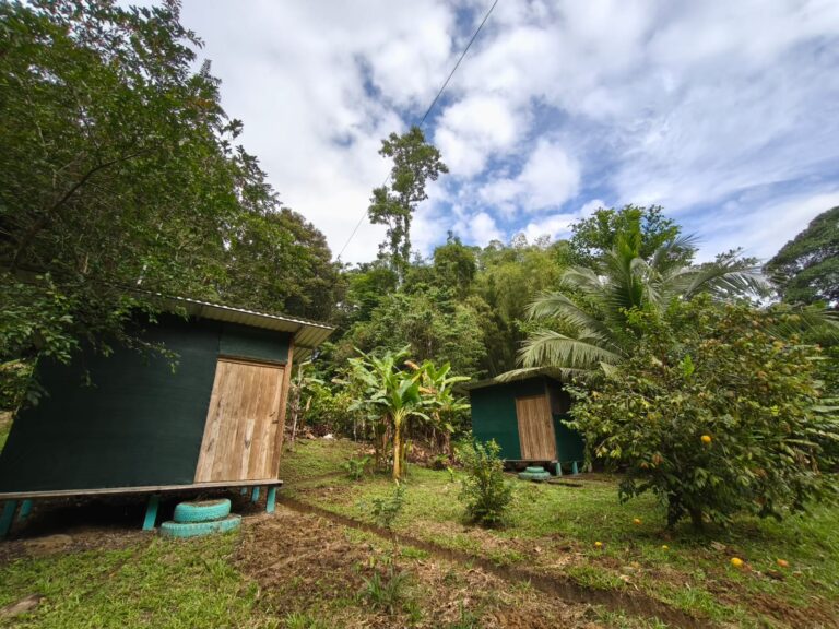 Habitación Privada B/C