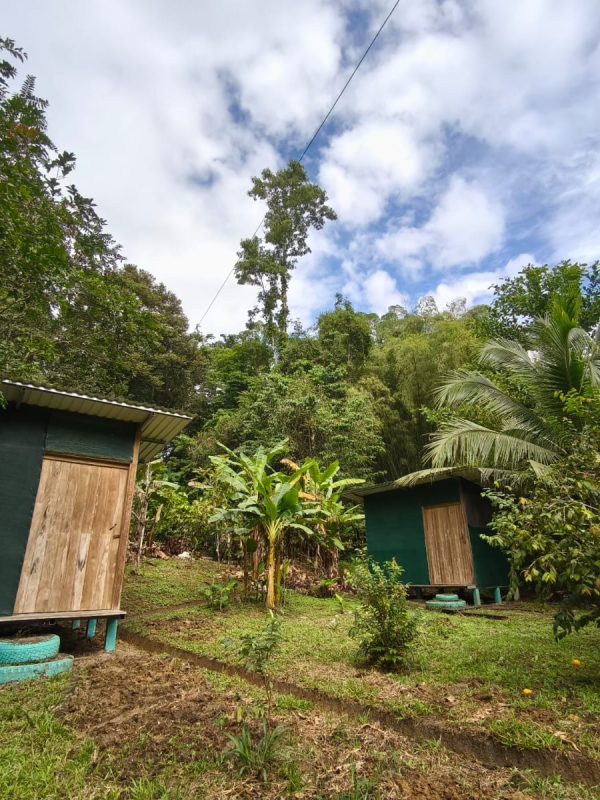 1725d759-0631-4a2e-8660-4ecd999ed12b