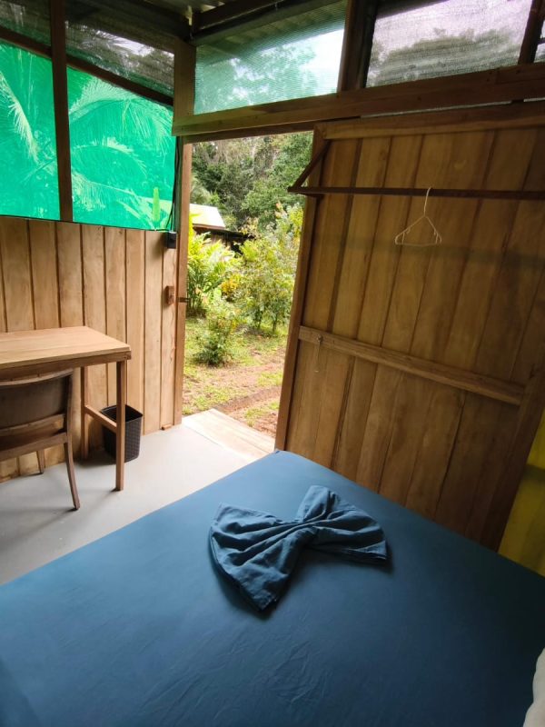 23c74ee2-aa90-4613-8109-410c1d5dfa07