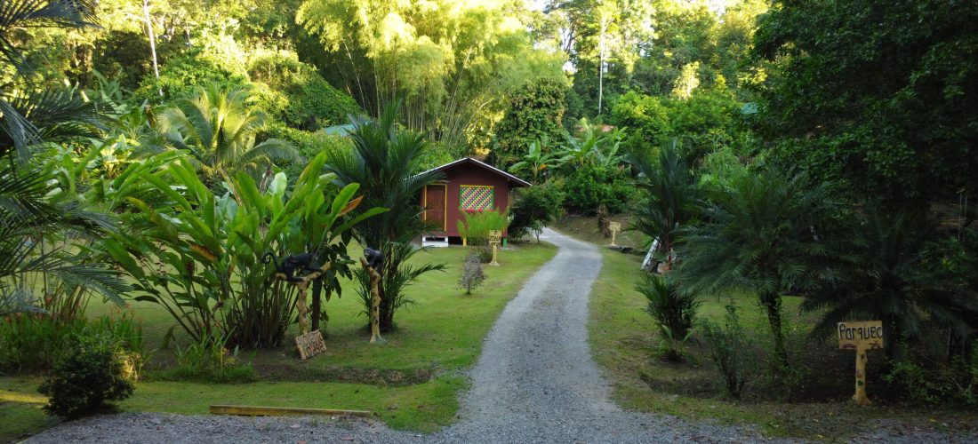 DCIM100MEDIADJI_0309.JPG DCIM100MEDIADJI_0309.JPG