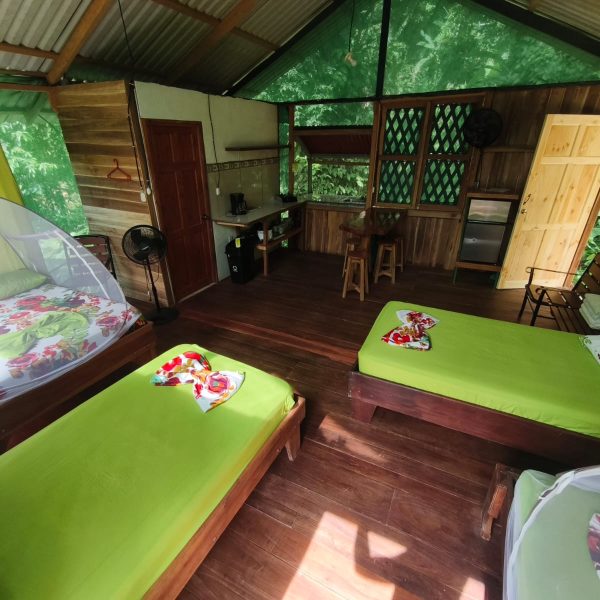 Interior Habitación