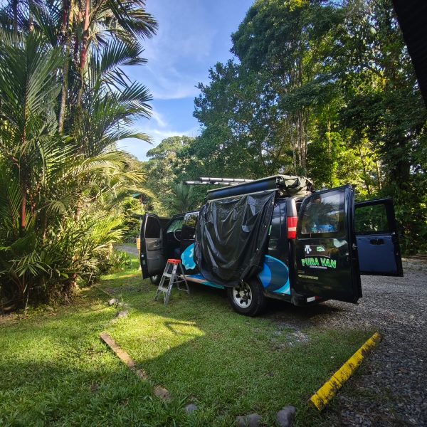 ba2fe388-9bc8-4d4e-9b4c-cdb1763d15e8