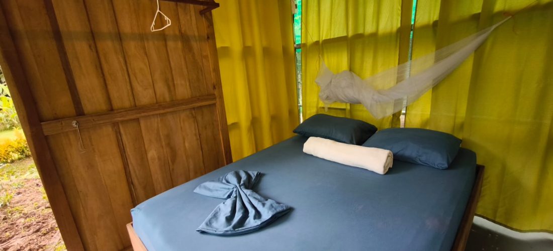 ea34f549-6565-46ab-91da-1b5a1ab2882c